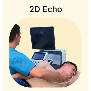 Explore in Detail About 2D Echo